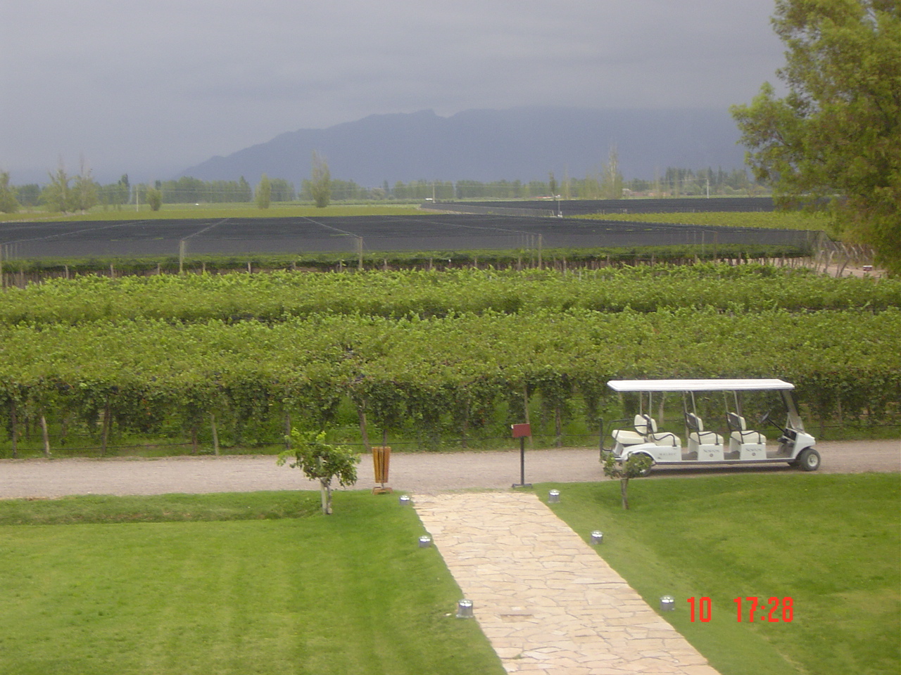 ESPUMANTES, VINOS DULCES NATURALES Y VINOS COSECHA TARDIA